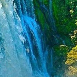 Meet your Posher, Jorge